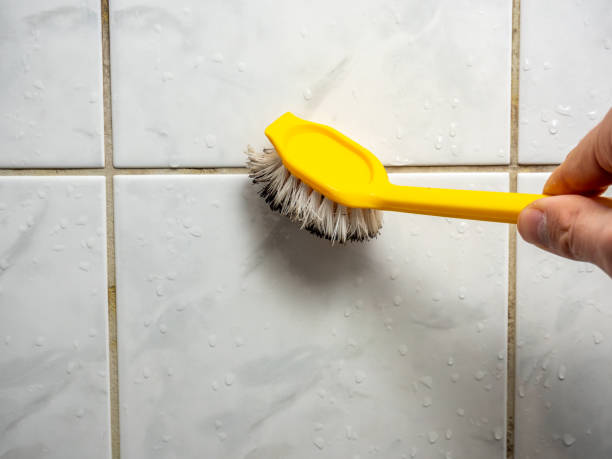 Best Mold Damage Repair  in Homestead Valley, CA