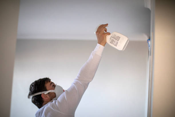 Best Mold Remediation  in Homestead Valley, CA
