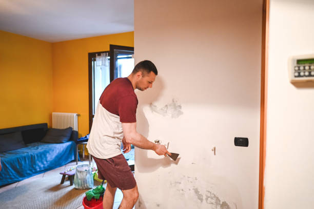 Best Crawl Space Mold Removal  in Homestead Valley, CA
